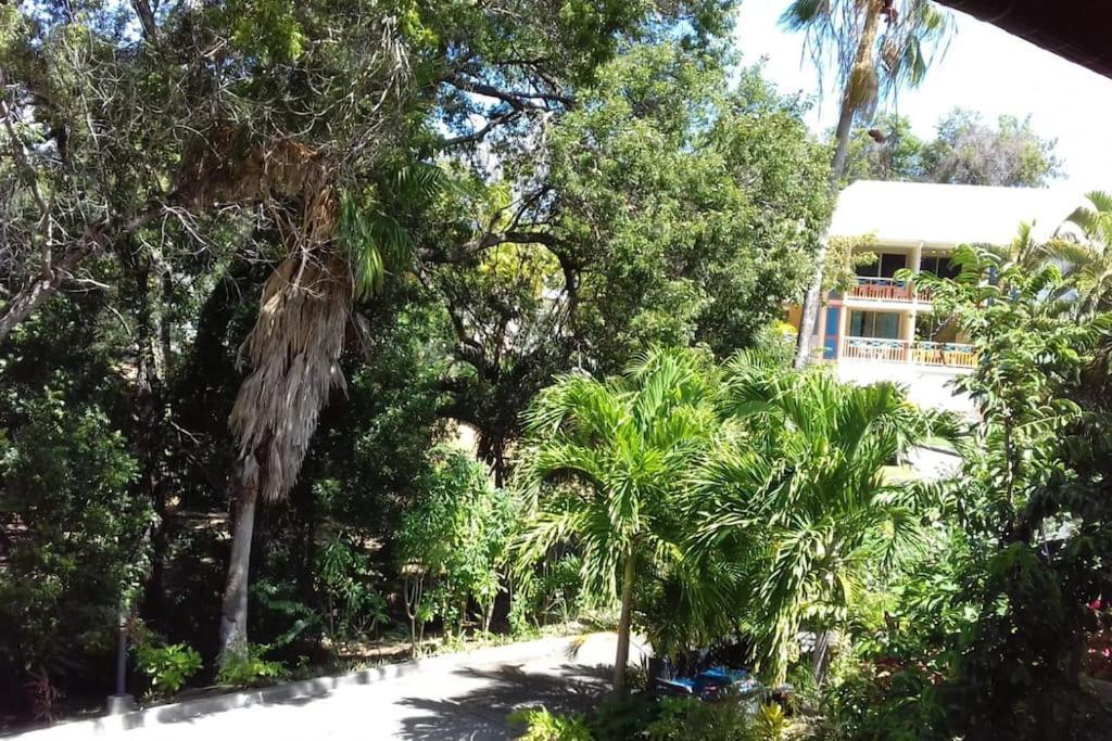 Studio Le Balisier Caritan Dış mekan fotoğraf